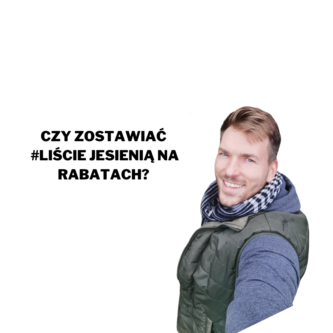 Read more about the article CZY ZOSTAWIAĆ LIŚCIE JESIENIĄ NA RABATACH?
