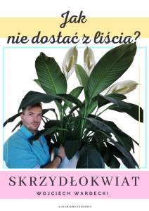 E-book “Jak nie dostać z liścia” - SKRZYDŁOKWIAT