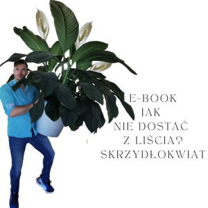 E-book “Jak nie dostać z liścia” – SKRZYDŁOKWIAT