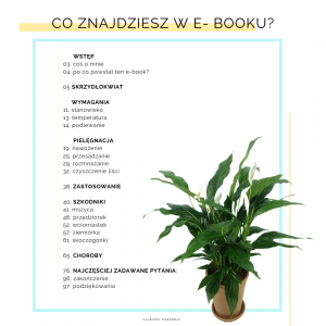 E-book “Jak nie dostać z liścia” – SKRZYDŁOKWIAT